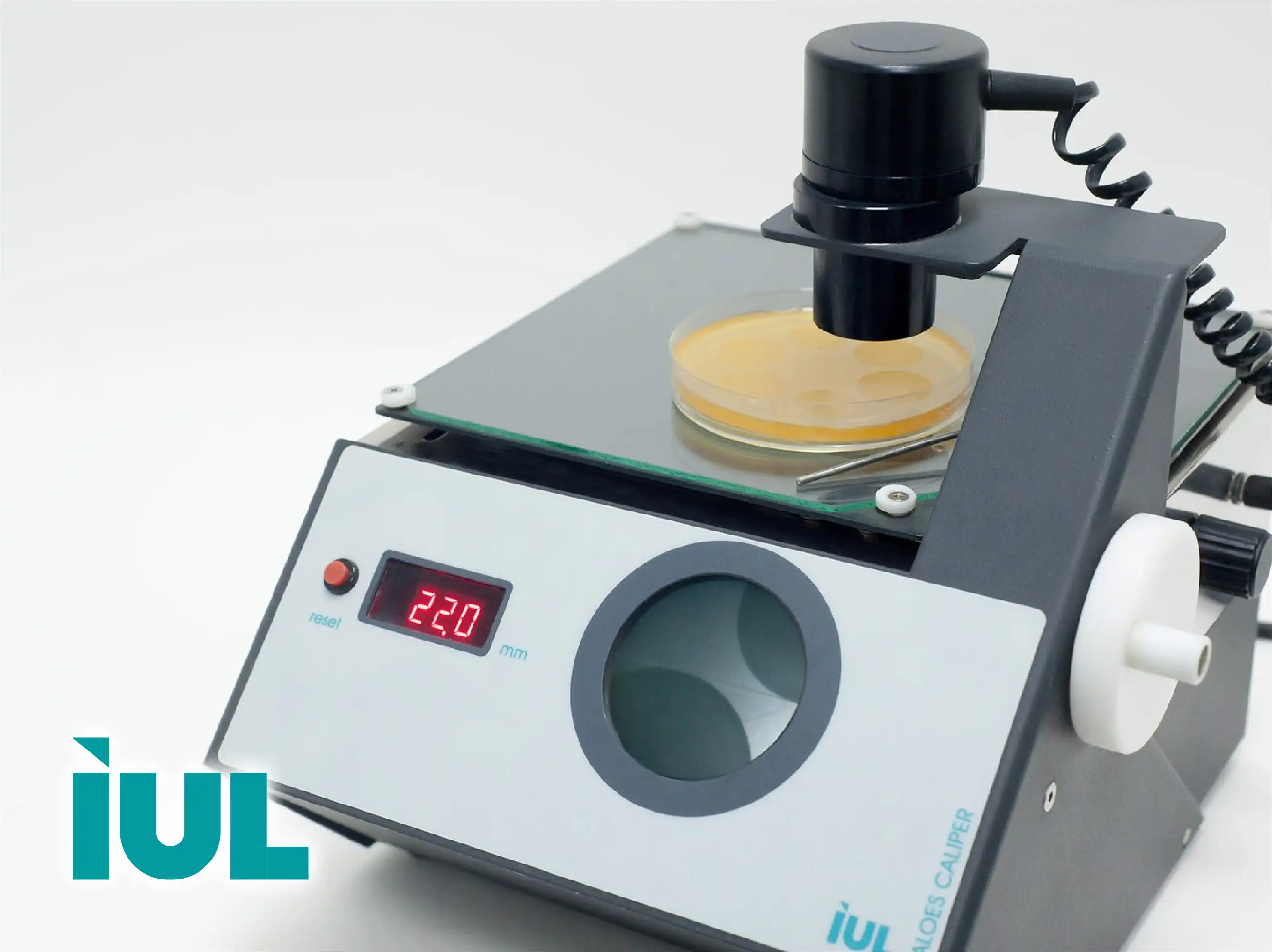 IUL Colony Counting & Zone Reading